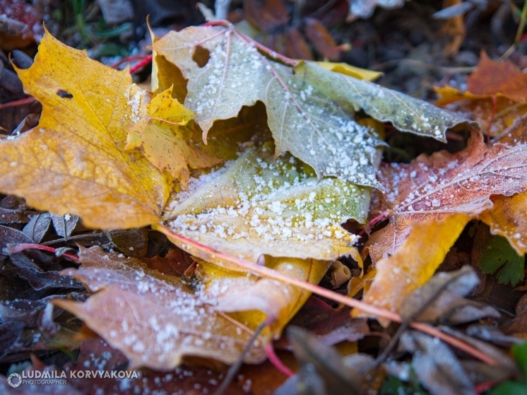 8 ноября в северных районах до ночью похолодает до -2°C
