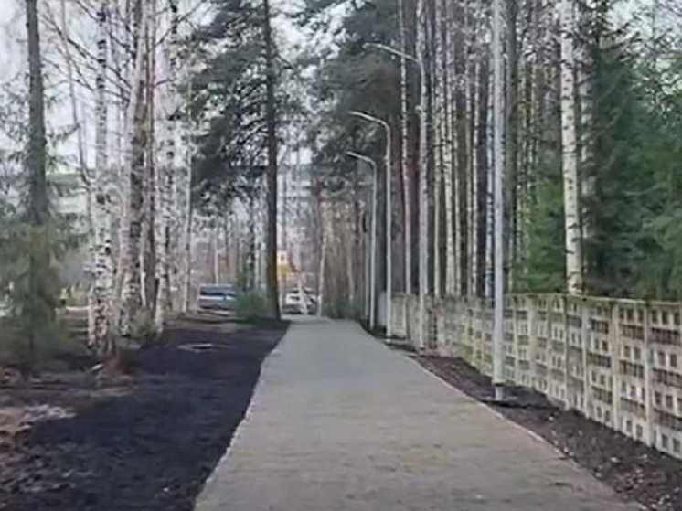 Тропинку у Детской больницы в Петрозаводске обустроили