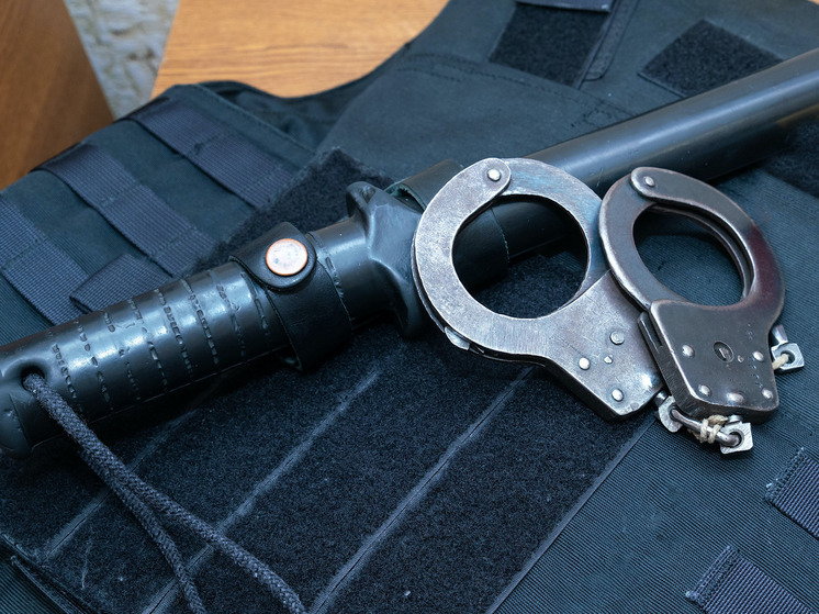 Эксперт связал дело Махониных с приватизацией 90-х