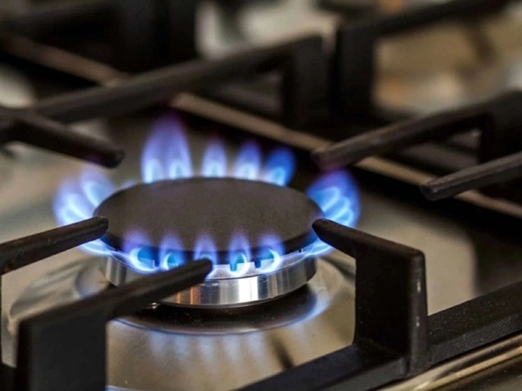 В Ярославской области посчитали должников за газ