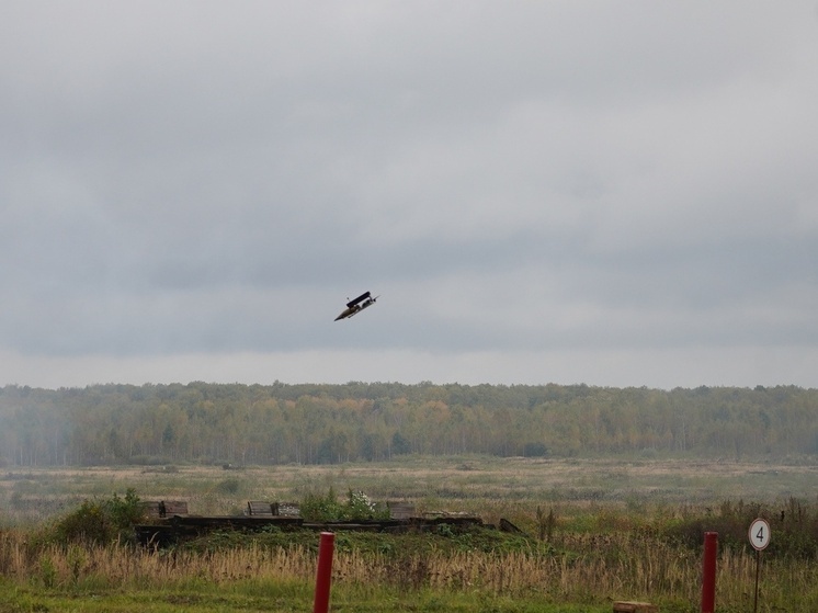 Налет украинских БПЛА не затронул Тульскую область