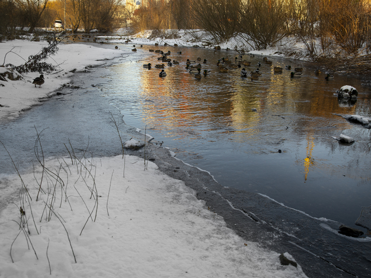 Осторожно, тонкий лед! Спасатели предупреждают томичей об опасности