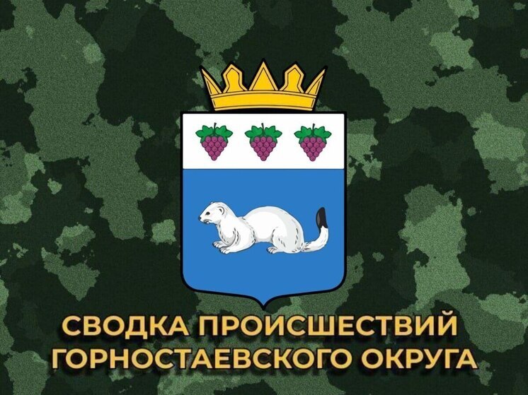 По Горностаевскому округу ВСУ выпустили 12 снарядов и 5 беспилотников