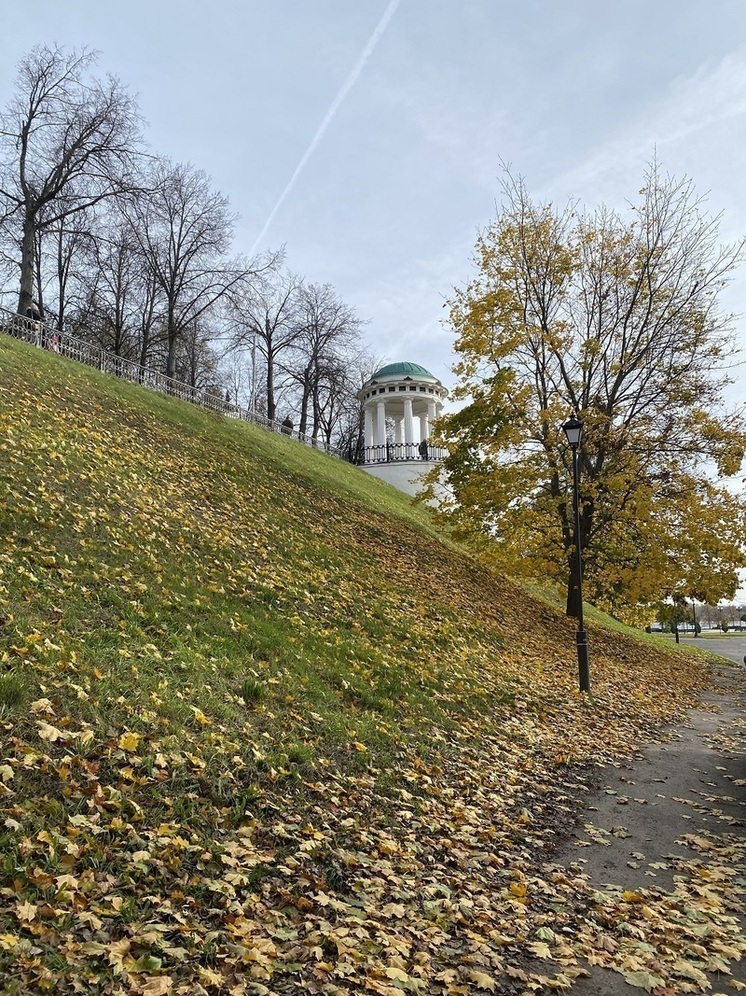 Ярославцам пообещали теплые выходные