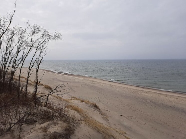 Паром из Трабзона проверяют более восьми часов после двух суток в море