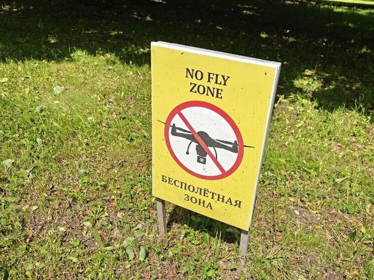 Игрушечный квадрокоптер ошибочно приняли за настоящий БПЛА в Петербурге
