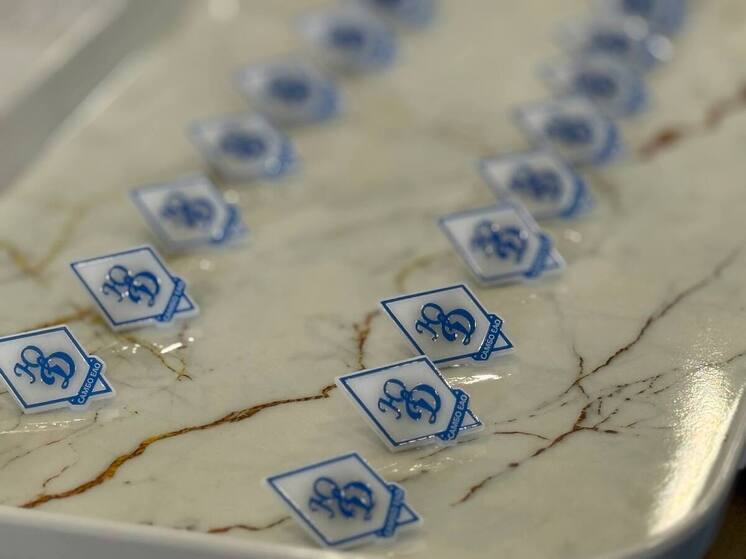 В ряды «Юных динамовцев» вступили 100 самбистов ЕАО