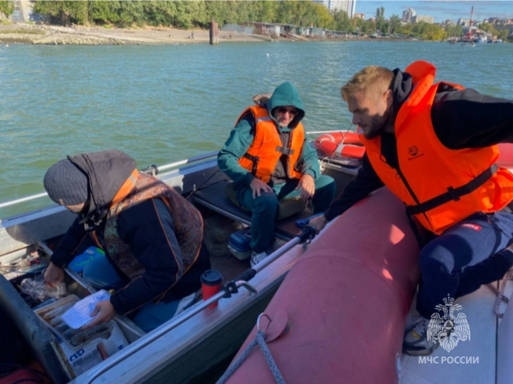 За сутки в Ростовской области потушили 10 пожаров