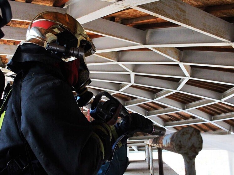 В Омске при ночном пожаре спаслись двое детей