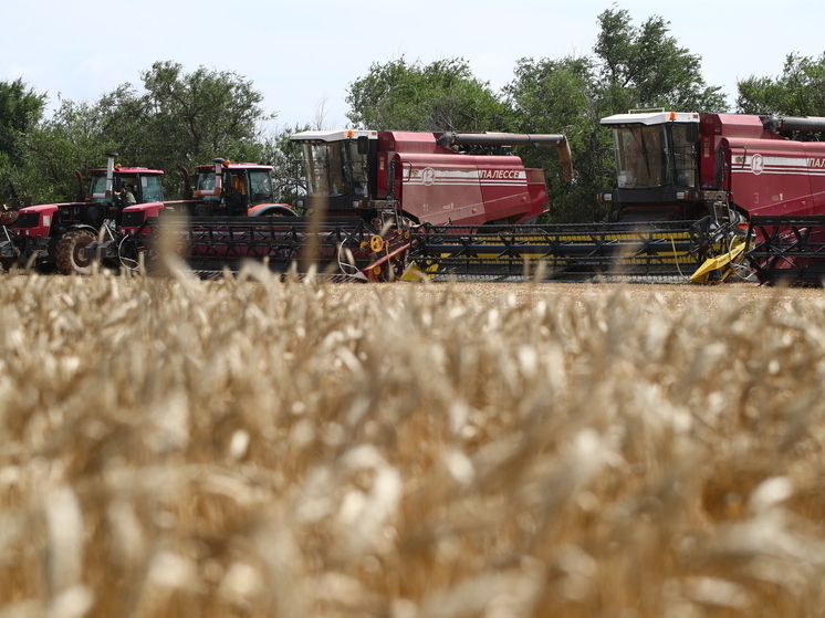 Компания нарушила правила ввоза в Астраханскую область 200 кг семян рапса