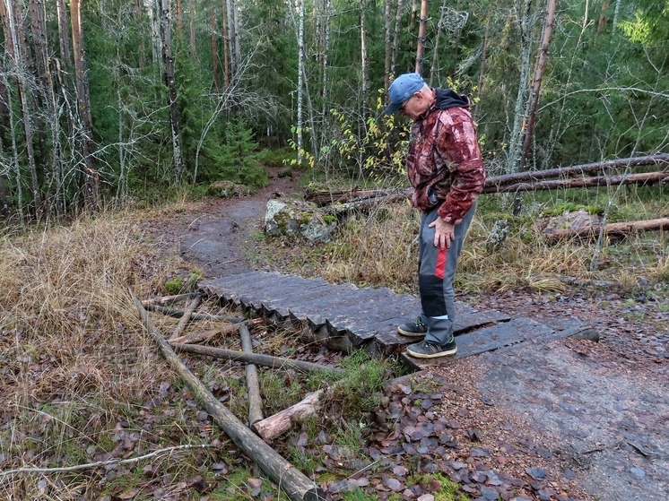 Экомаршрут в парке «Монрепо» закроется досрочно из-за вандализма