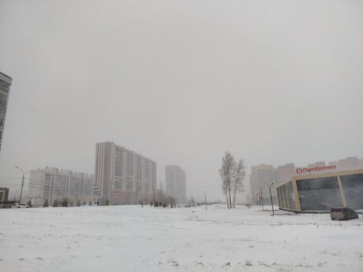 В Новосибирске 8 ноября 2025 года разгулялась метель