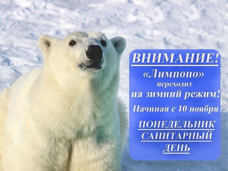 Нижегородский зоопарк «Лимпопо» переходит на зимний режим работы
