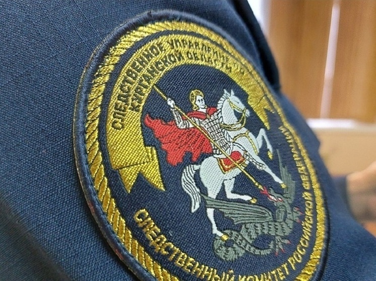 В Курганской области завершили поиски пропавшей девочки