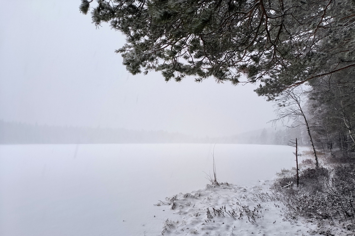 Izginotje družine Usolcev v tajgi najverjetneje posledica nesreče
