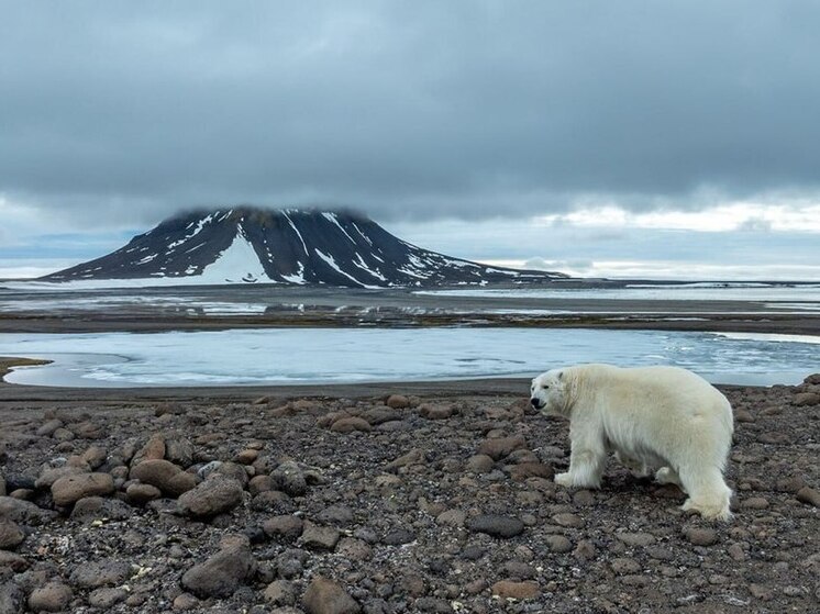 Приключения продолжаются. Илья Тимин раскрыл некоторые тайны загадочной и суровой Арктики
