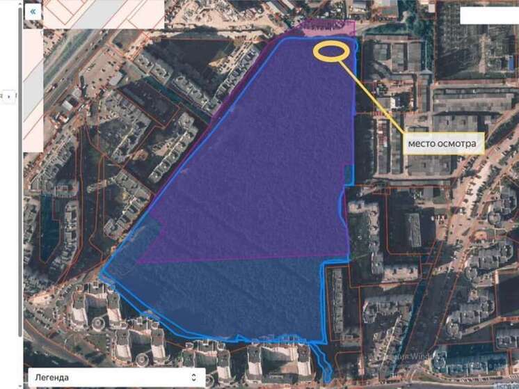 В Воронеже проверили состояние сосен в Северном лесу после обращений жителей