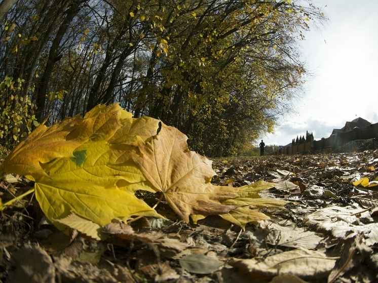 Что можно и что нельзя делать 9 ноября: главные запреты Обетного дня