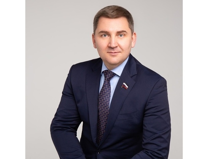 Ограничения интернета в Краснодарском крае: депутат Ламейкин объяснил необходимость таких мер