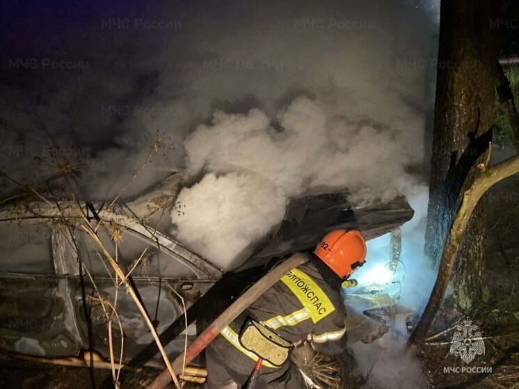 Пожарные Ленобласти оперативно отреагировали на 7 происшествий за сутки