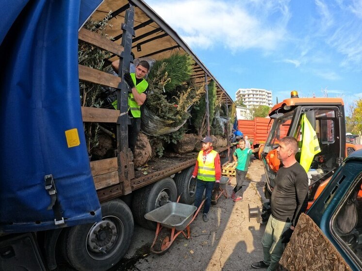 В Ялте высадят более тысячи деревьев и кустарников