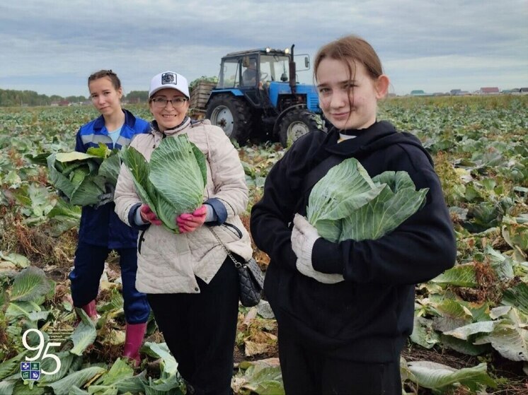 Студенты-аграрии помогли собрать урожай капусты на Южном Урале