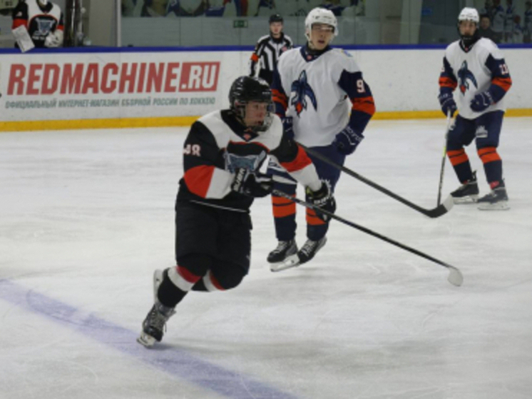 МХК «Тамбов» пережил американские горки эмоций в двухматчевом противостоянии с ХК «Самара»