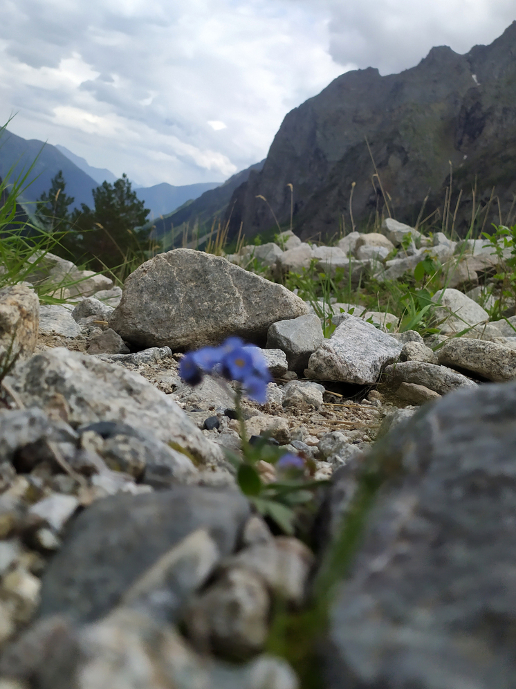 Маршрут к водопаду Шагацикомдон открыли после реконструкции в Северной Осетии