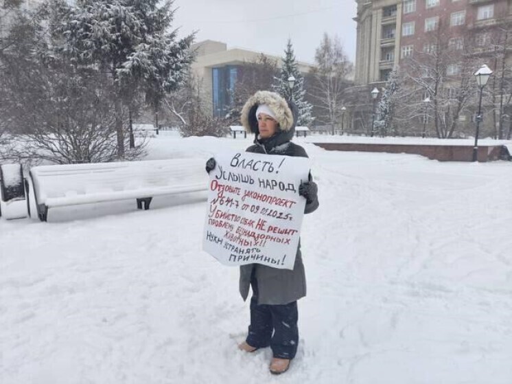 Новосибирские зоозащитники вышли на пикеты против закона об усыплении бездомных собак