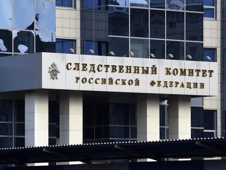 Дело об избиении школьницы в Серпухове взял на контроль председатель СКР