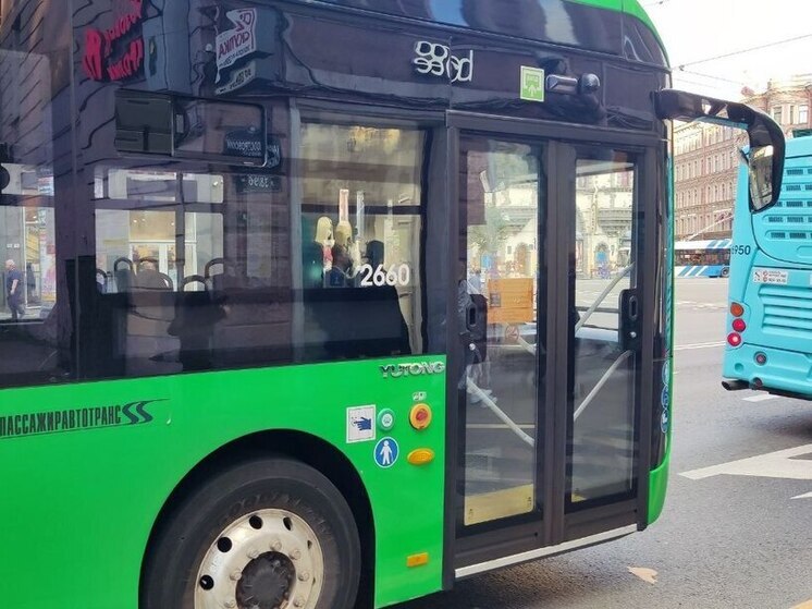 Беспардонный «заяц» на маршруте № 145 в Петербурге повредил зеркало заднего вида