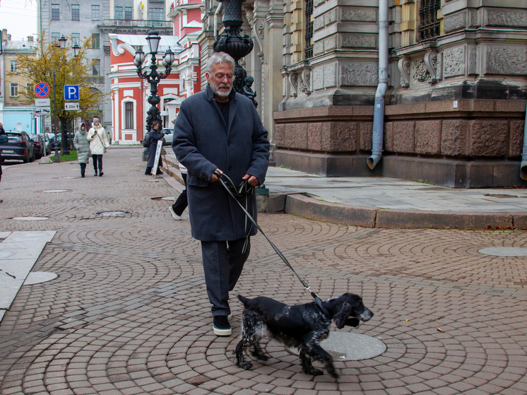 Слепого на один глаз спаниеля с пулей внутри помог приютить Ургант