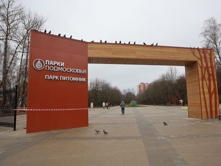 Пока без каруселей: Питомнику в Серпухове предстоит второй этап обновления