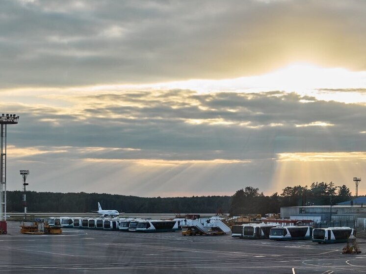Пензенские авиапассажиры могут столкнуться с проблемой овербукинга при перелетах