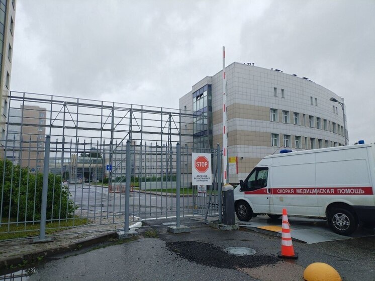 Семиклассник на питбайке скончался после наезда автомобиля в Ленобласти