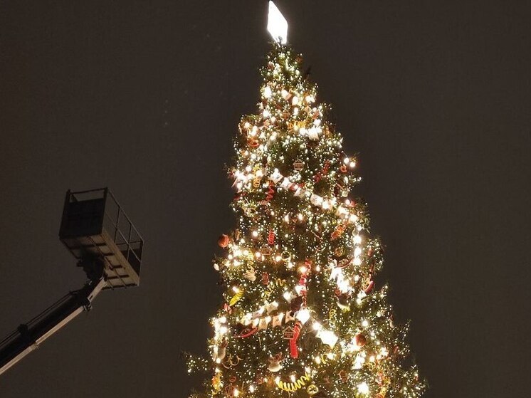 Городскую елку Кировска зажгут 15 ноября на Центральной площади