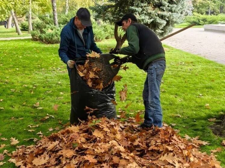 В Краснодаре улицы и парки очищают от листвы