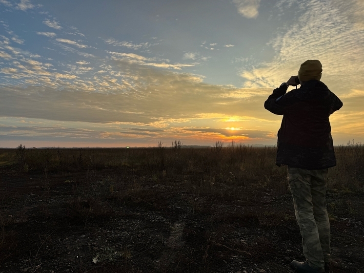 В лучах заката: экологи завершили мониторинг редких соколов в Мордовском округе