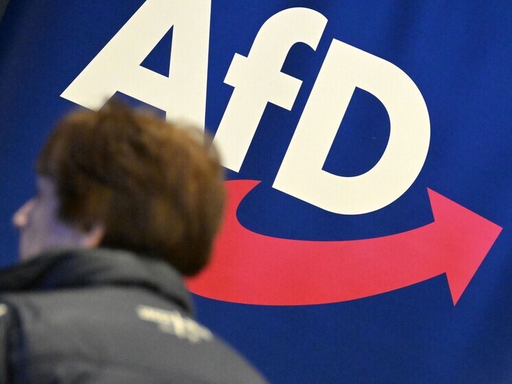 SZ: поездка депутатов «Альтернативы для Германии» в Сочи вызвала скандал в ФРГ