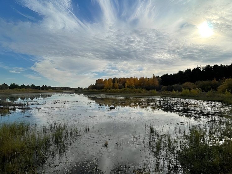 Инспекторы Экоцентра Архангельской области проводят учет птиц