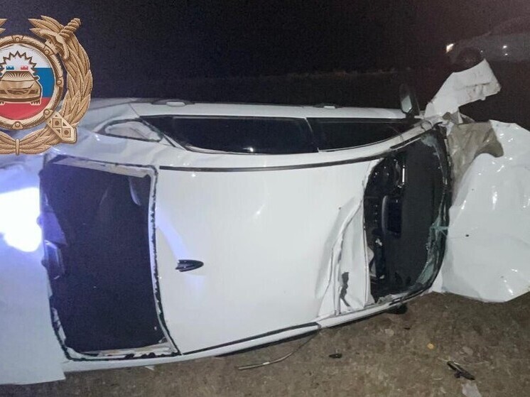 В Озинском районе участниками ДТП стали лошадь и легковушка