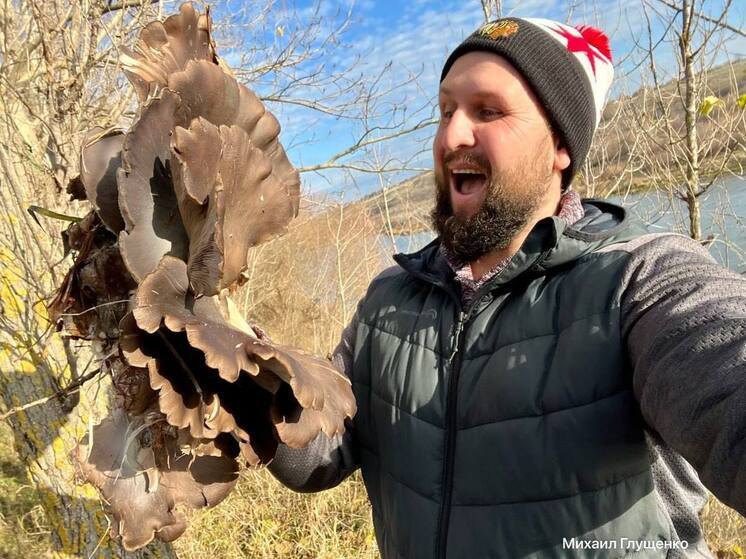 Местный любитель «тихой охоты» в Воронеже нашёл вешенку внушительных размеров