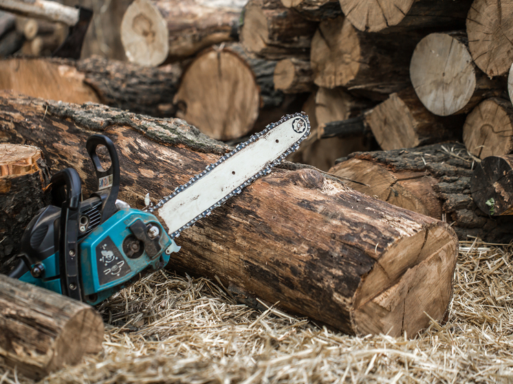 Предприниматель из Канска выплатил 1,9 млн рублей штрафа после угрозы обязательных работ