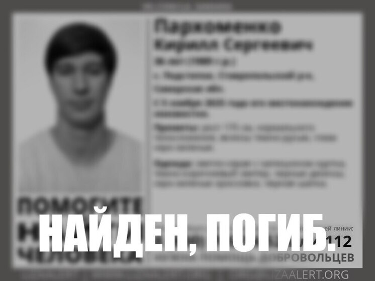 36-летний парень, которого искали поисковики "Лизы Алерт", найдем погибшим в Тольятти
