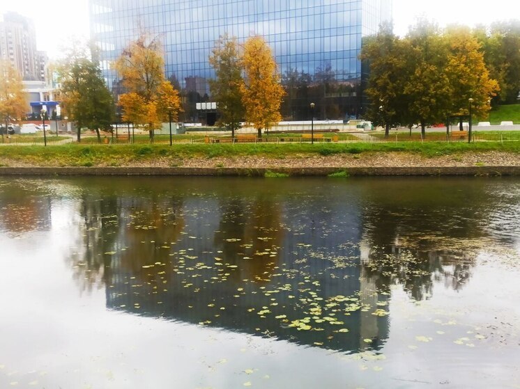 В Ивановской области стартовал сезон ноябрьских дождей