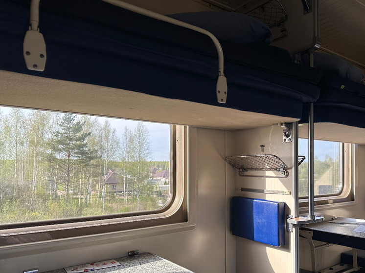 Новгородцам рассказали, почему людей обычно не укачивает в поездах