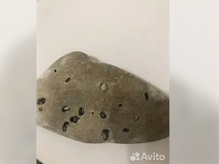 В Новосибирске выставили на продажу «уникальный» камень за 750 тысяч