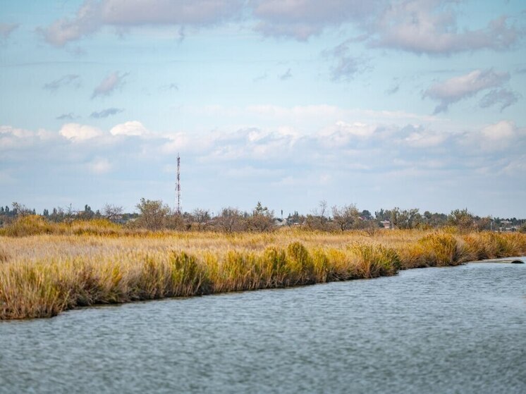 В Херсонской области 9 ноября ожидается умеренный дождь при +16 градусах