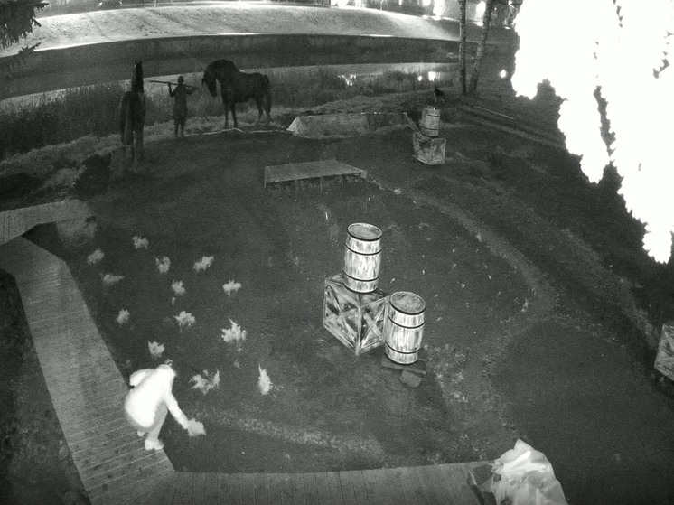 В Тихвине нашли вандалов, которые крали растения и портили городское имущество