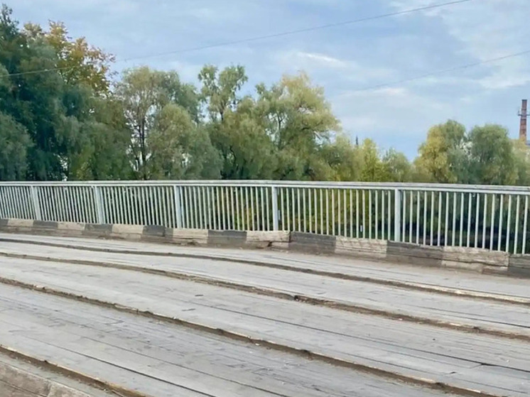 В Старой Руссе 10 ноября начнут ремонт Живого моста